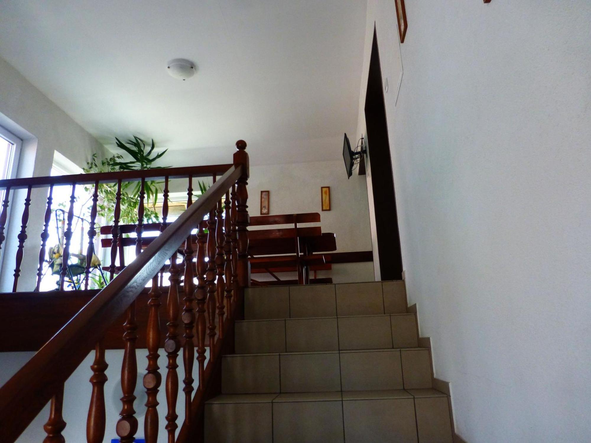 Homestay Murena